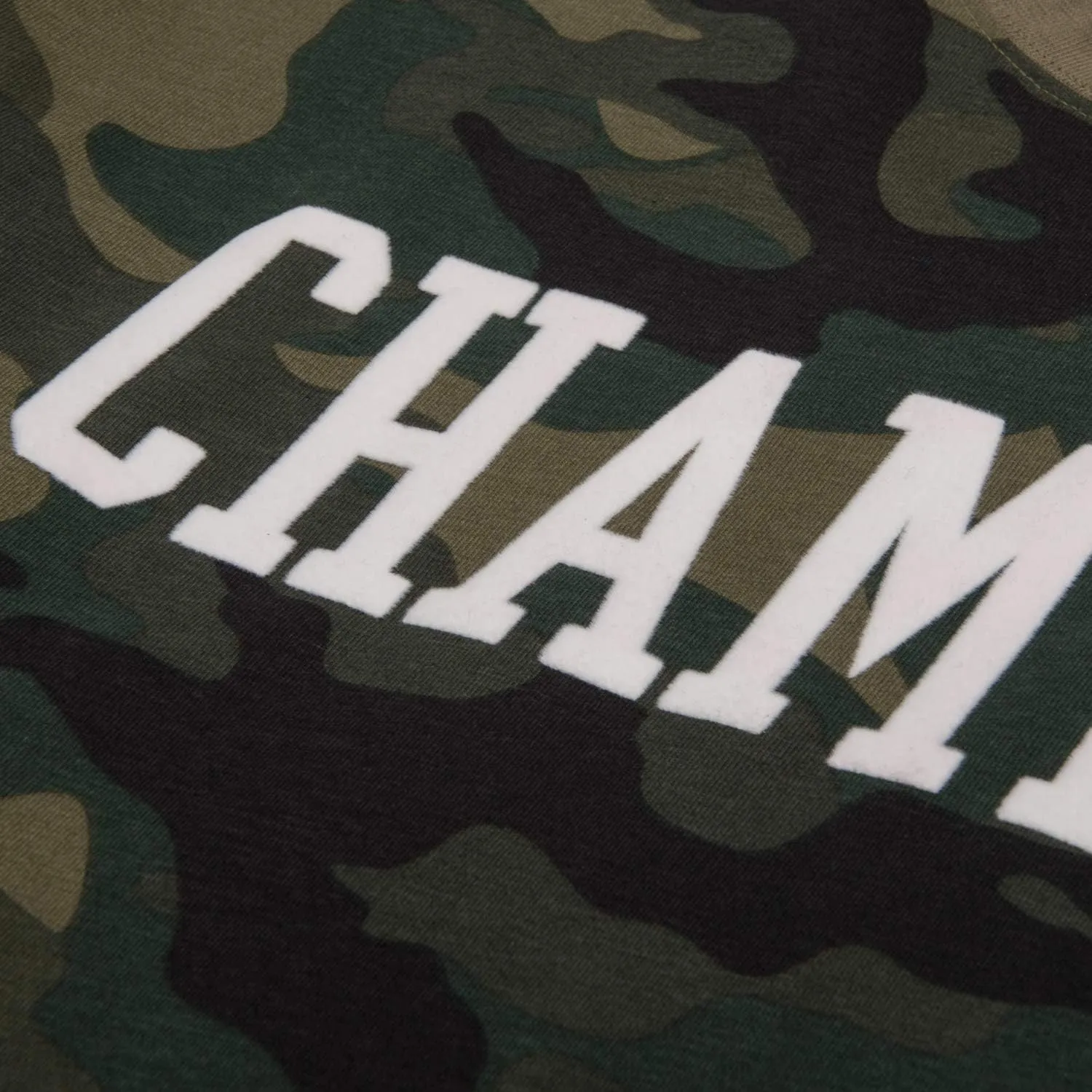 Champion Big and Tall T-Shirts for Men - Mens Short Sleeve Cotton Crewneck Tee