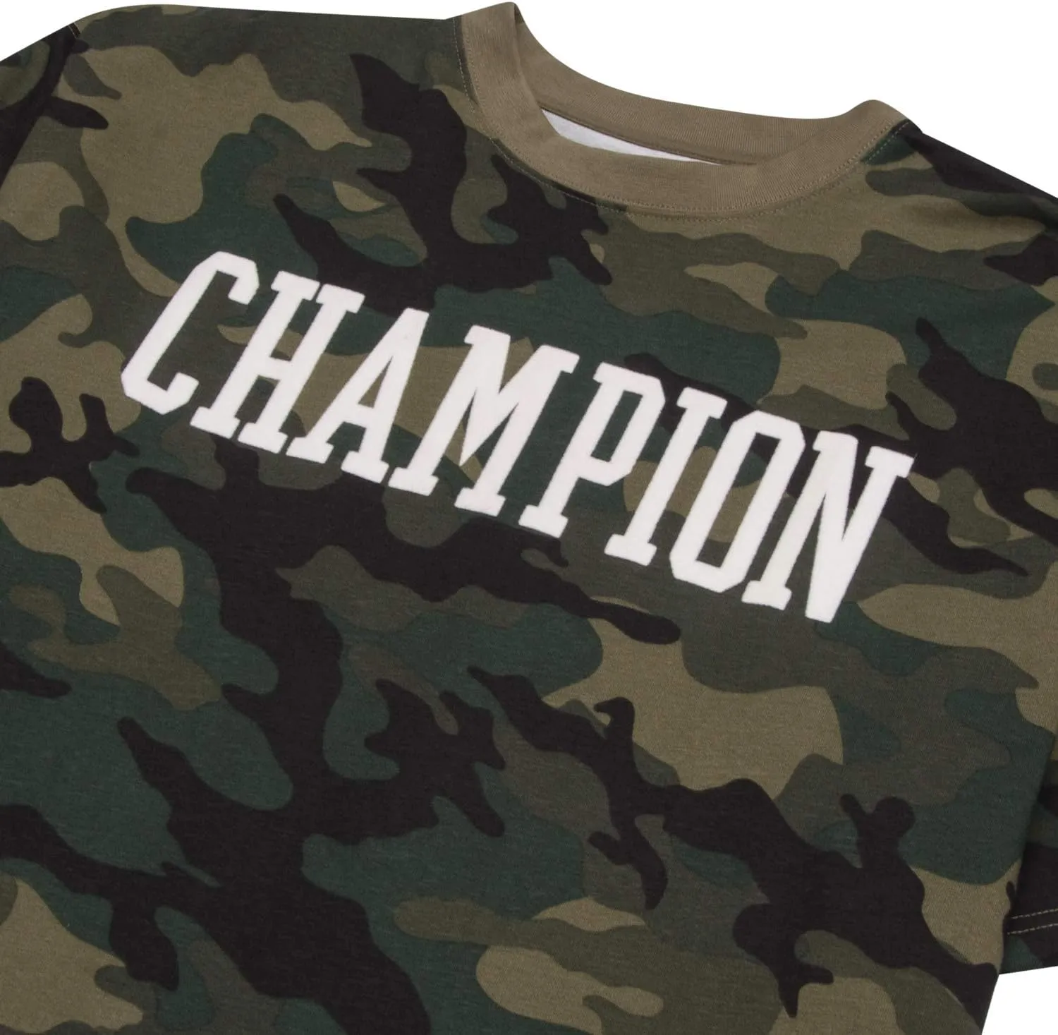 Champion Big and Tall T-Shirts for Men - Mens Short Sleeve Cotton Crewneck Tee