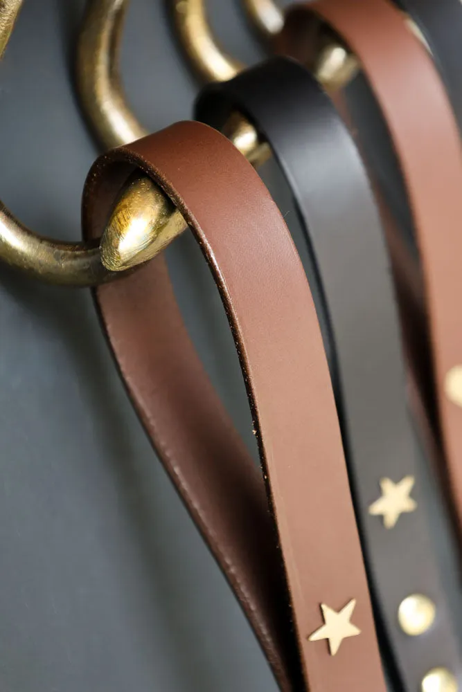 Dark Brown Leather Dog Lead With Stars