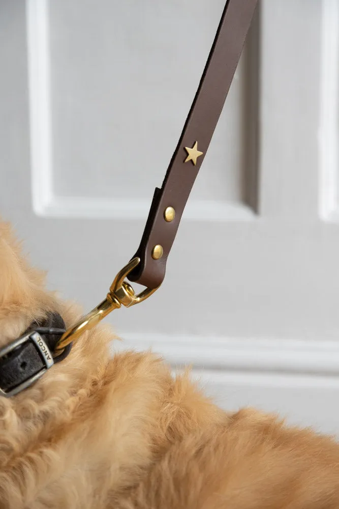 Dark Brown Leather Dog Lead With Stars