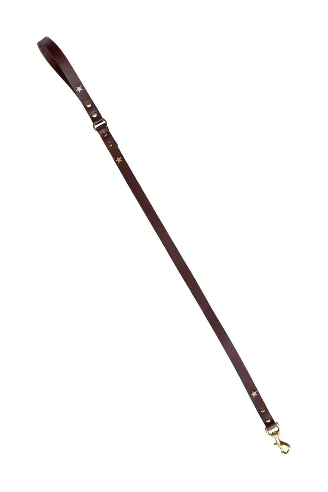 Dark Brown Leather Dog Lead With Stars