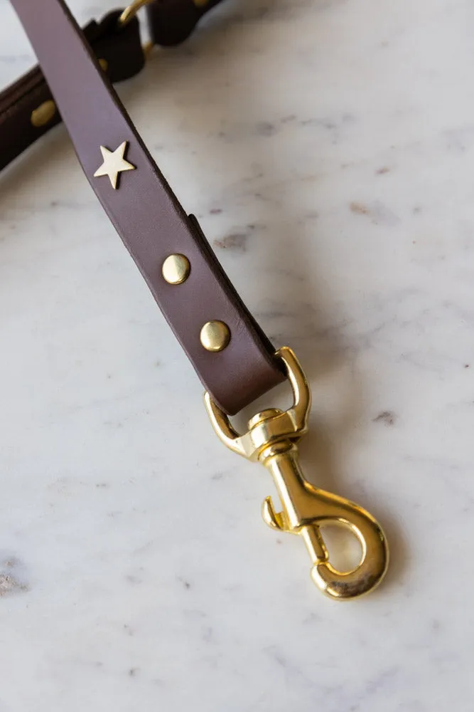 Dark Brown Leather Dog Lead With Stars