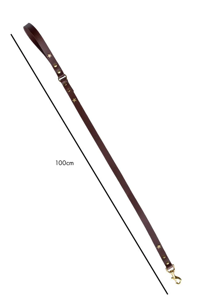 Dark Brown Leather Dog Lead With Stars