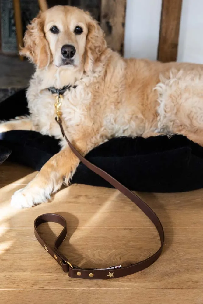 Dark Brown Leather Dog Lead With Stars